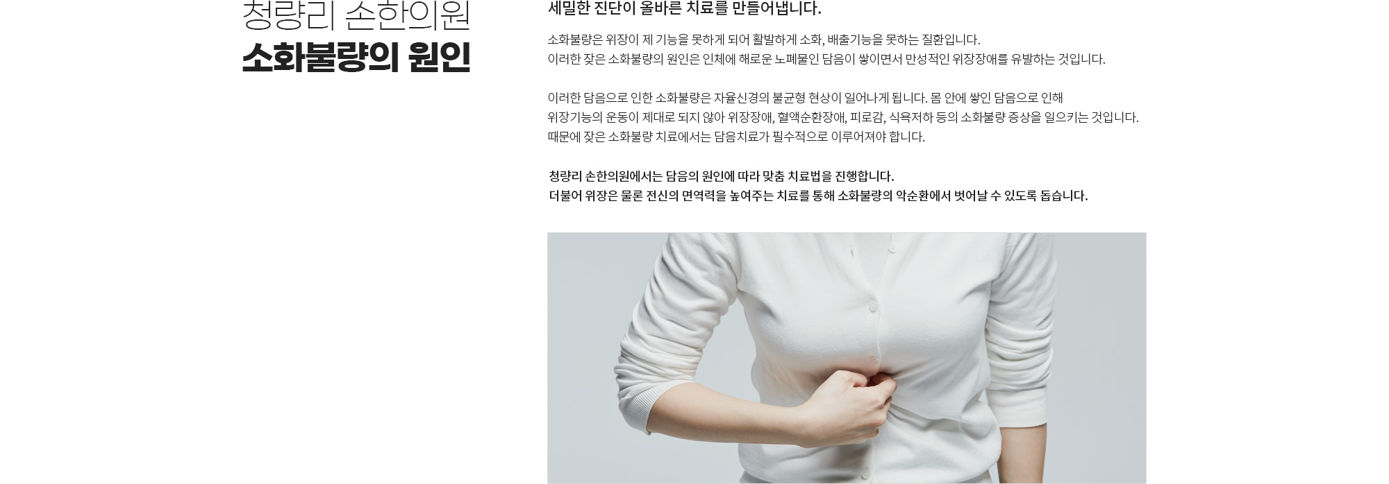 소화불량 상세 이미지 1
