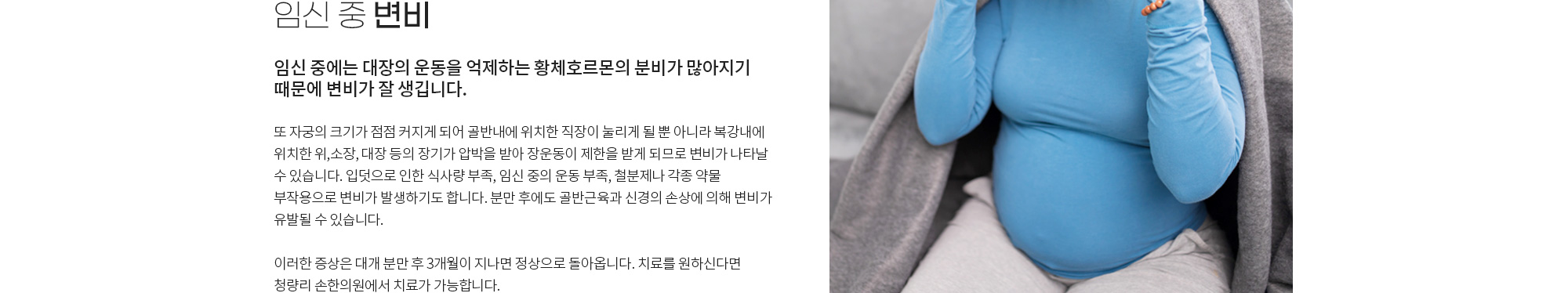 변비 상세 이미지 5