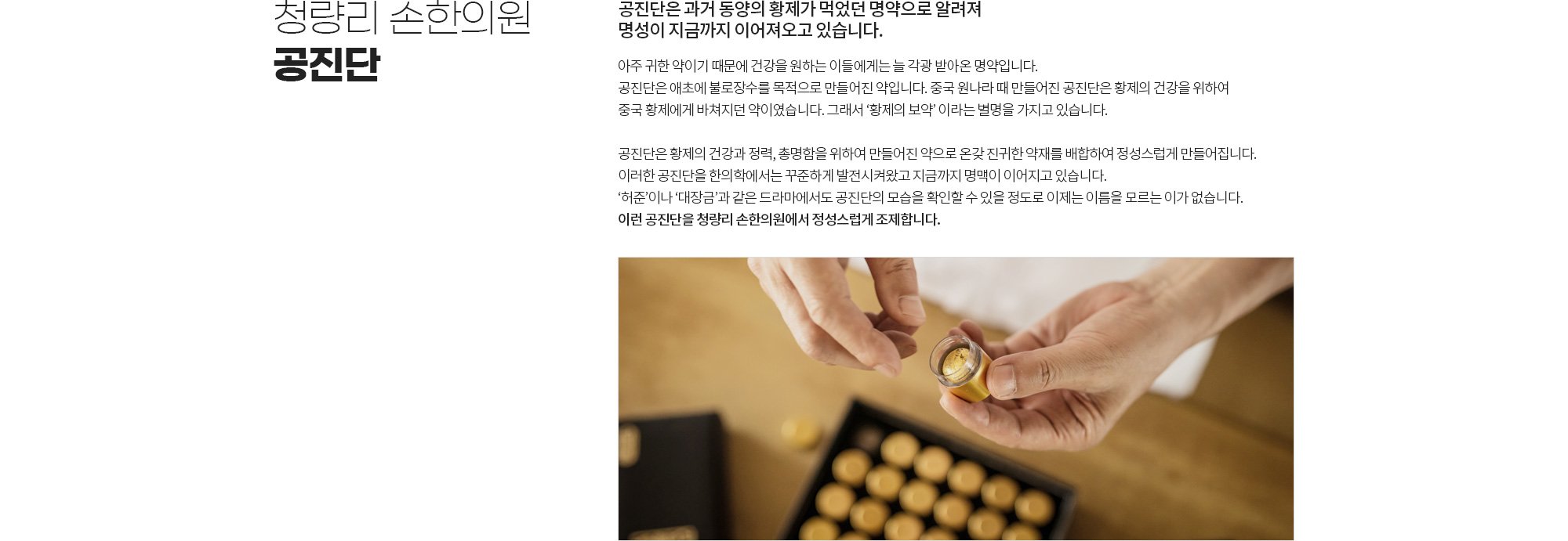 공진단 상세 이미지 1