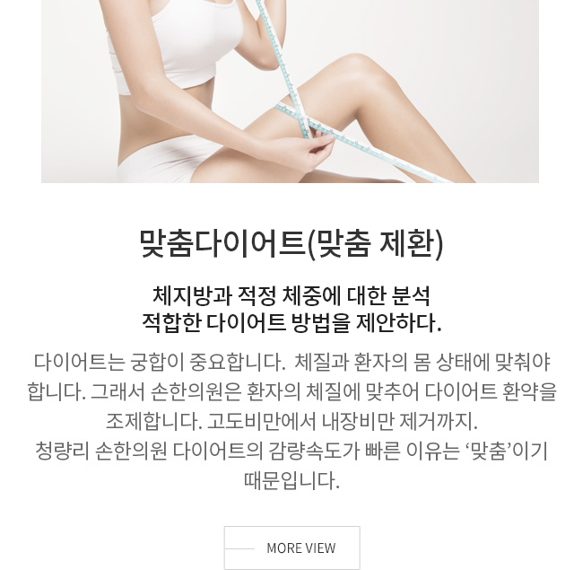 맞춤다이어트
