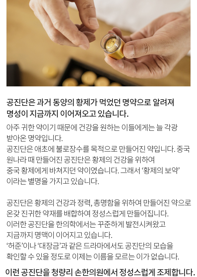 공진단 모바일 상세 이미지 1